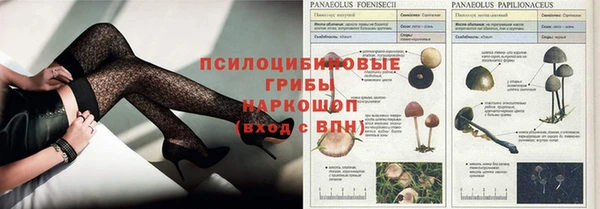 прущие крисы Нефтекумск