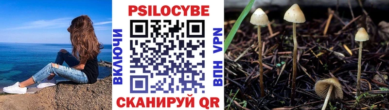 Галлюциногенные грибы MAGIC MUSHROOMS  Тулун 